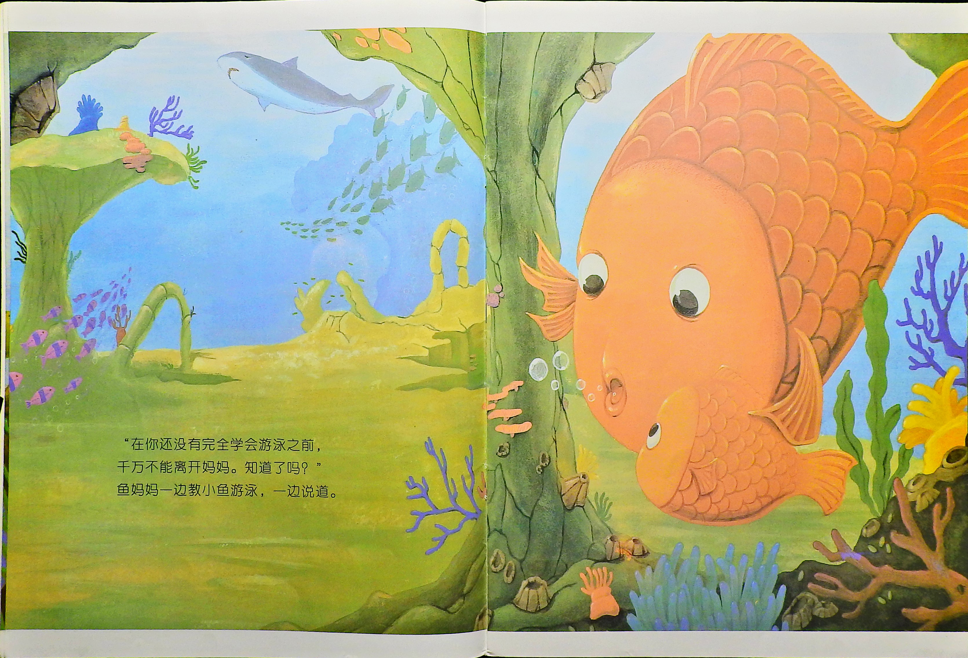 小鱼快跑 (05),绘本,绘本故事,绘本阅读,故事书,童书,图画书,课外阅读
